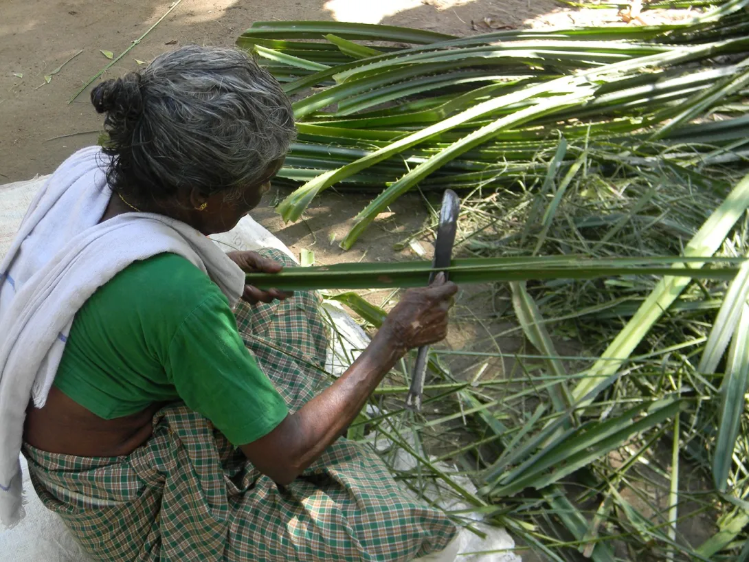തഴപ്പായ നിര്‍മ്മാണം