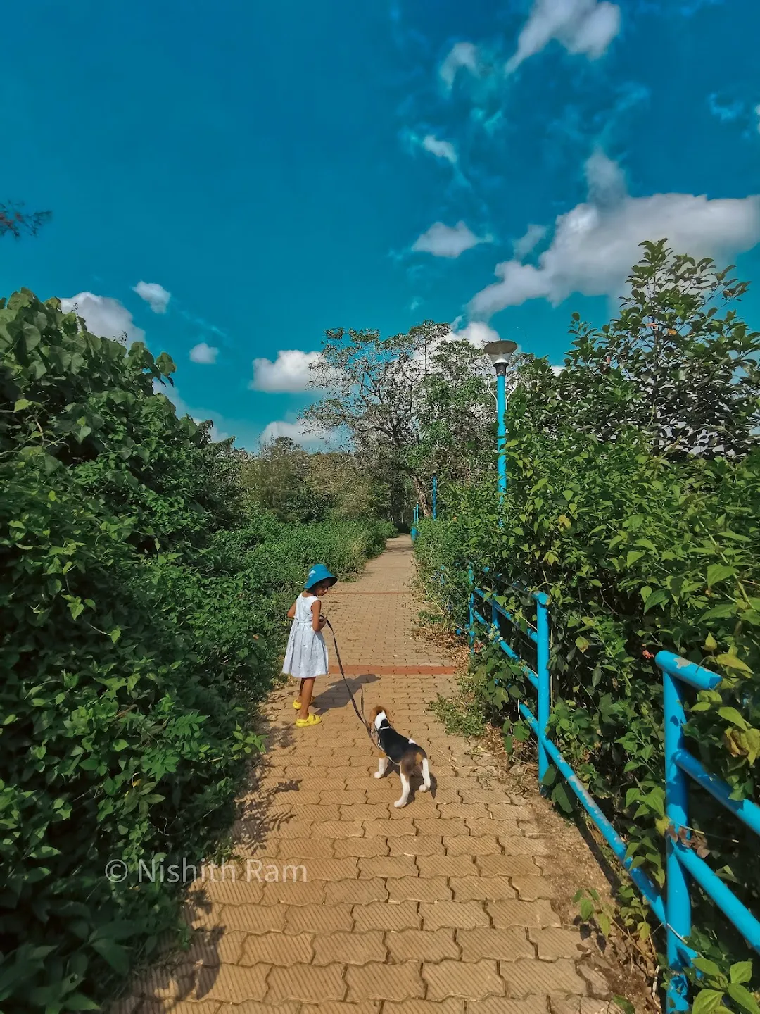 ചക്കുവള്ളിച്ചിറ 