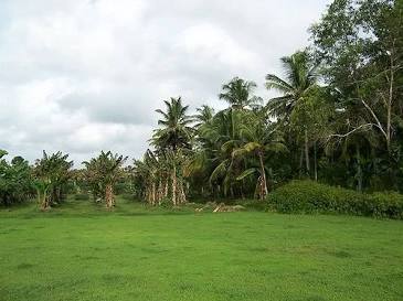 Beautiful place of sooranad south