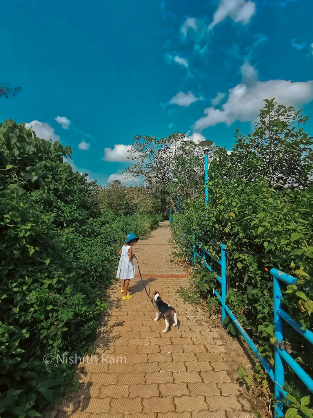 ചക്കുവള്ളിച്ചിറ 