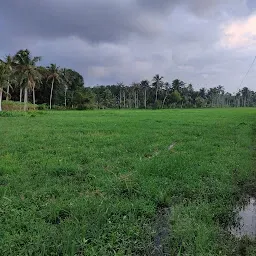 നെടിയപാടം