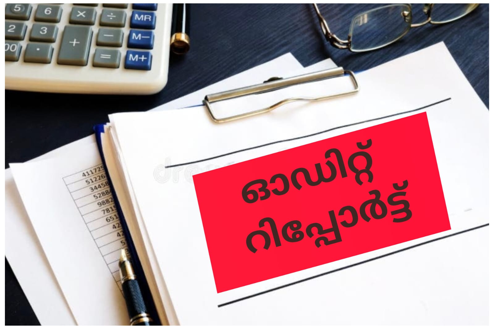 ആഡിറ്റ് റിപ്പോര്‍ട്ട് 2024-25