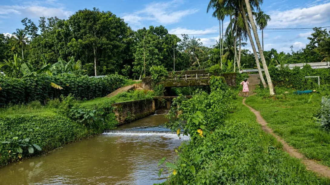 മേലില ചപ്പാത്ത് തോട്