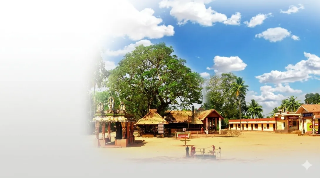 ഫോട്ടോസ്