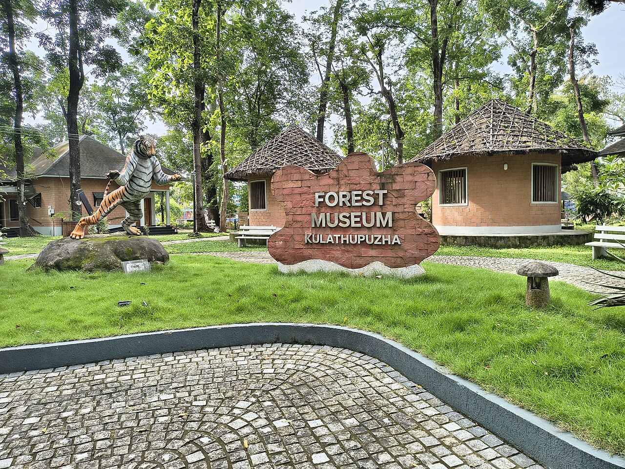 കുളത്തൂപ്പുഴ ഫോറസ്റ്റ് മ്യൂസിയം