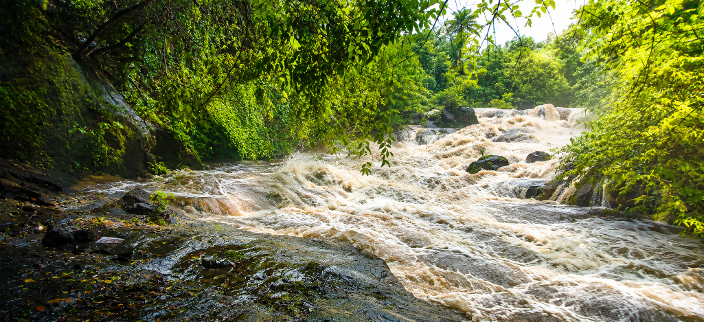 കന്യാര്‍കയം