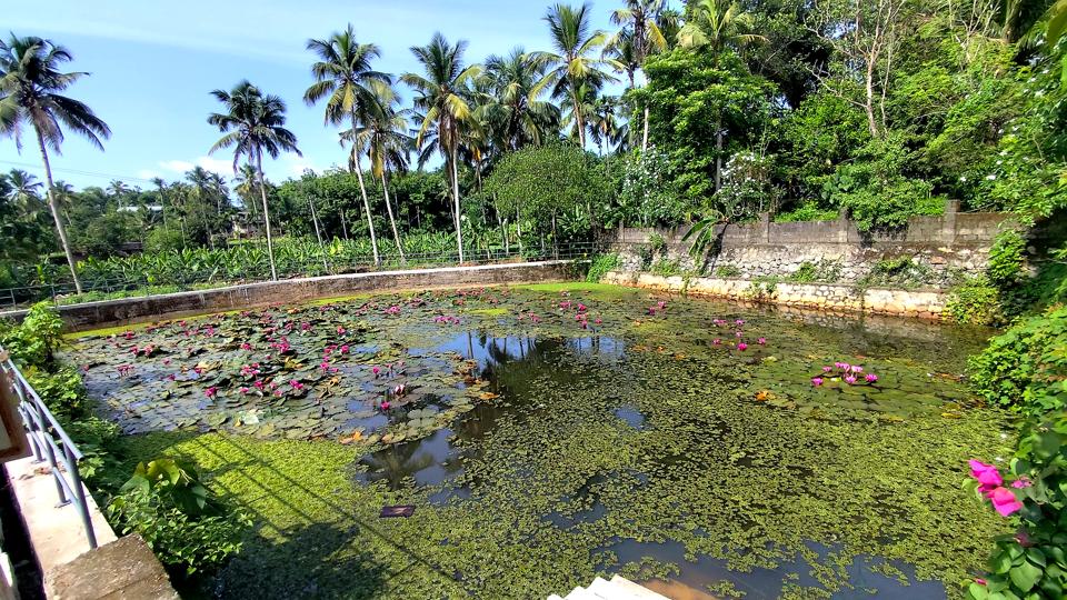 അഞ്ചല്‍ കുളം