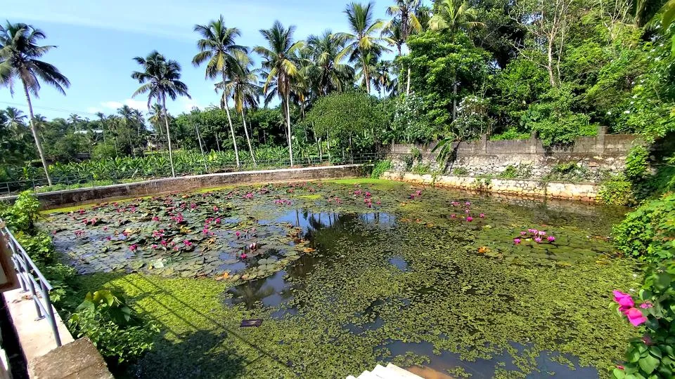 അഞ്ചല്‍ കുളം