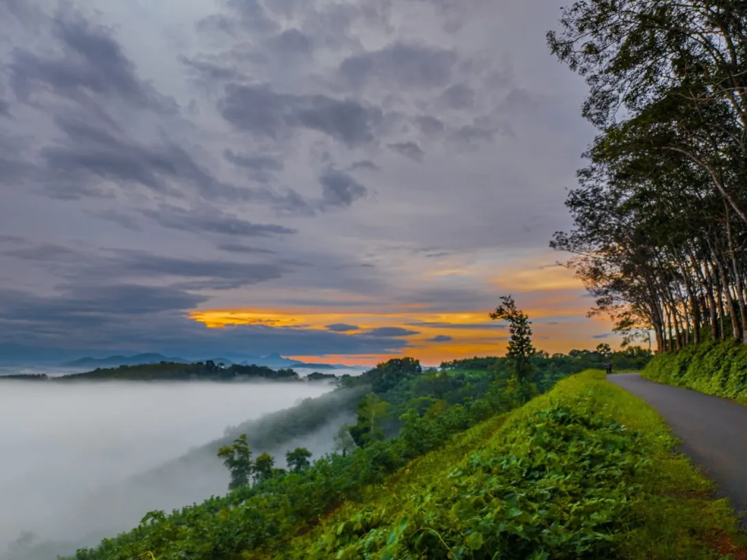 പിനാക്കിൾ വ്യൂ പോയിന്റ്