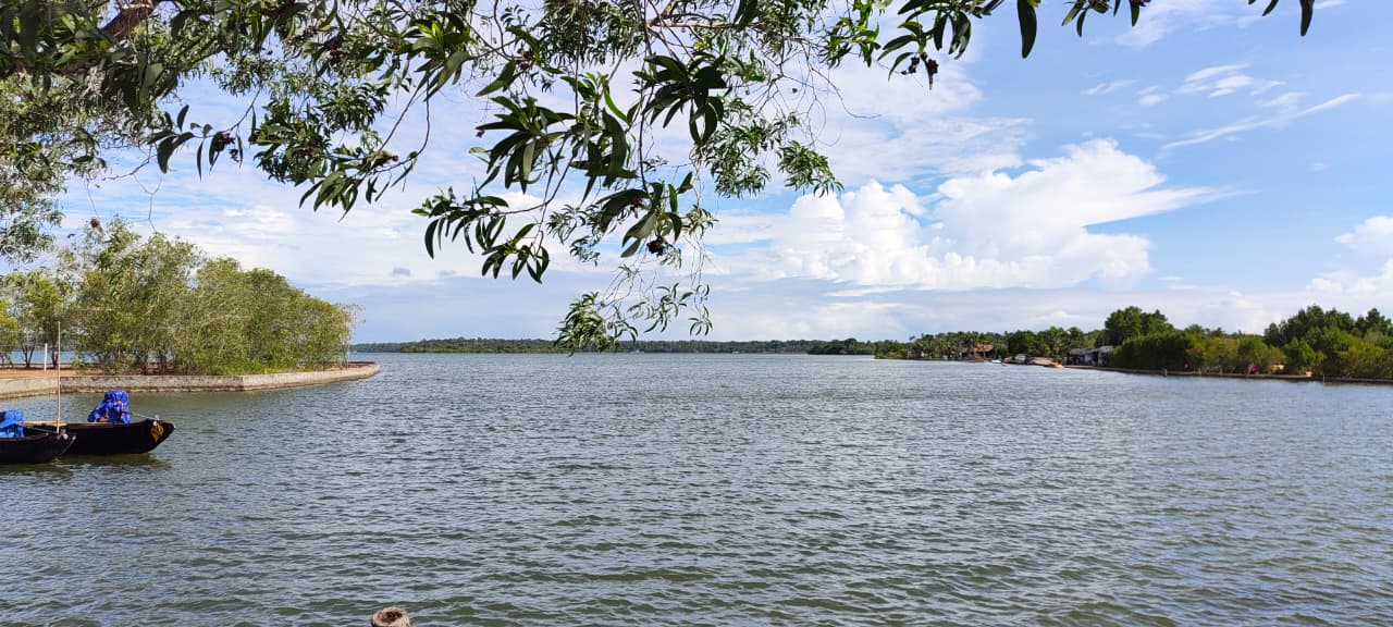 എസ് കർവ്