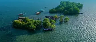 സാമ്പ്രാണിക്കോടി ടൂറിസം