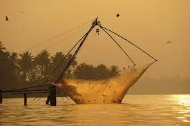 ചീനവല- അഷ്ടമുടി കായൽ