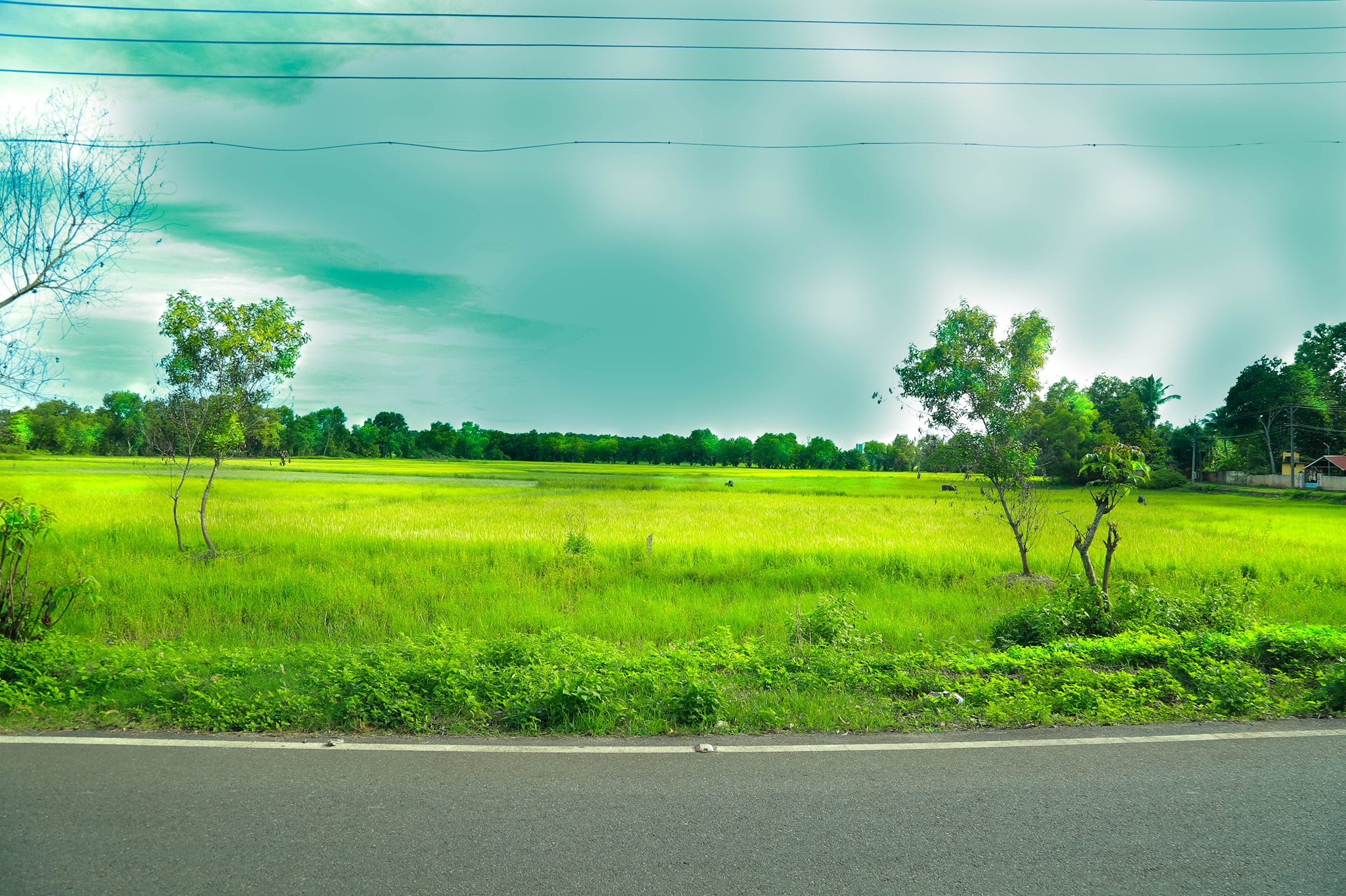 പെരുങ്കുളം