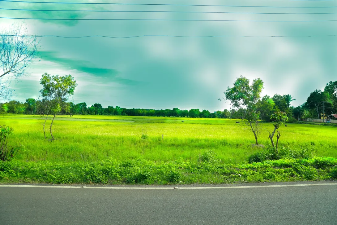 പെരുങ്കുളം 