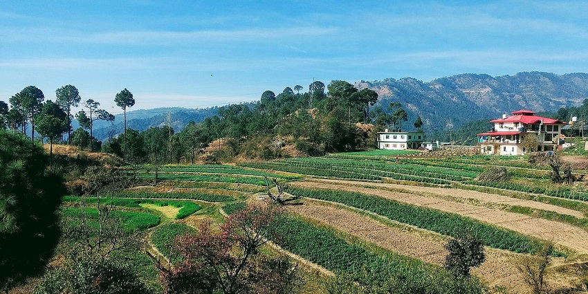 Agriculture development
