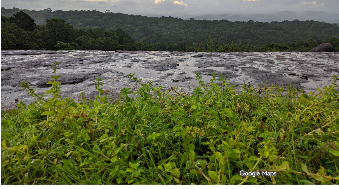 നാഗപ്പാറ