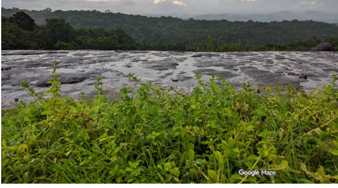 നാഗപ്പാറ