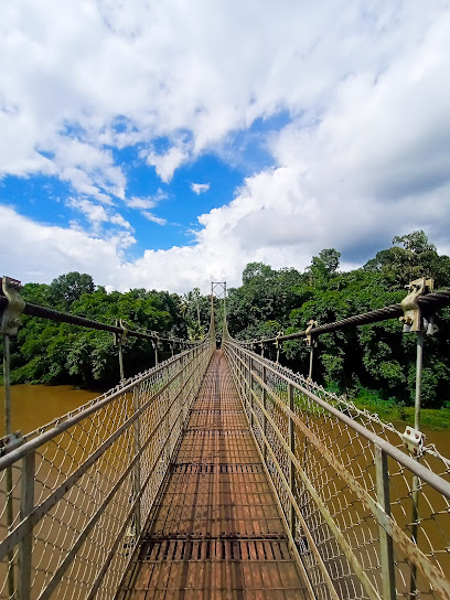 Suspension Bridge