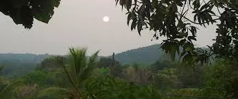 കുന്നന്താനം 