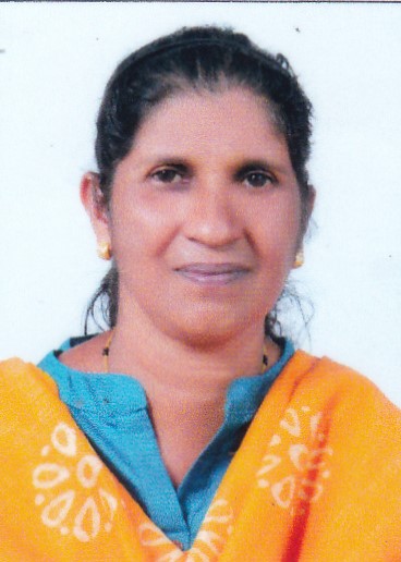 മിനി മാത്യു