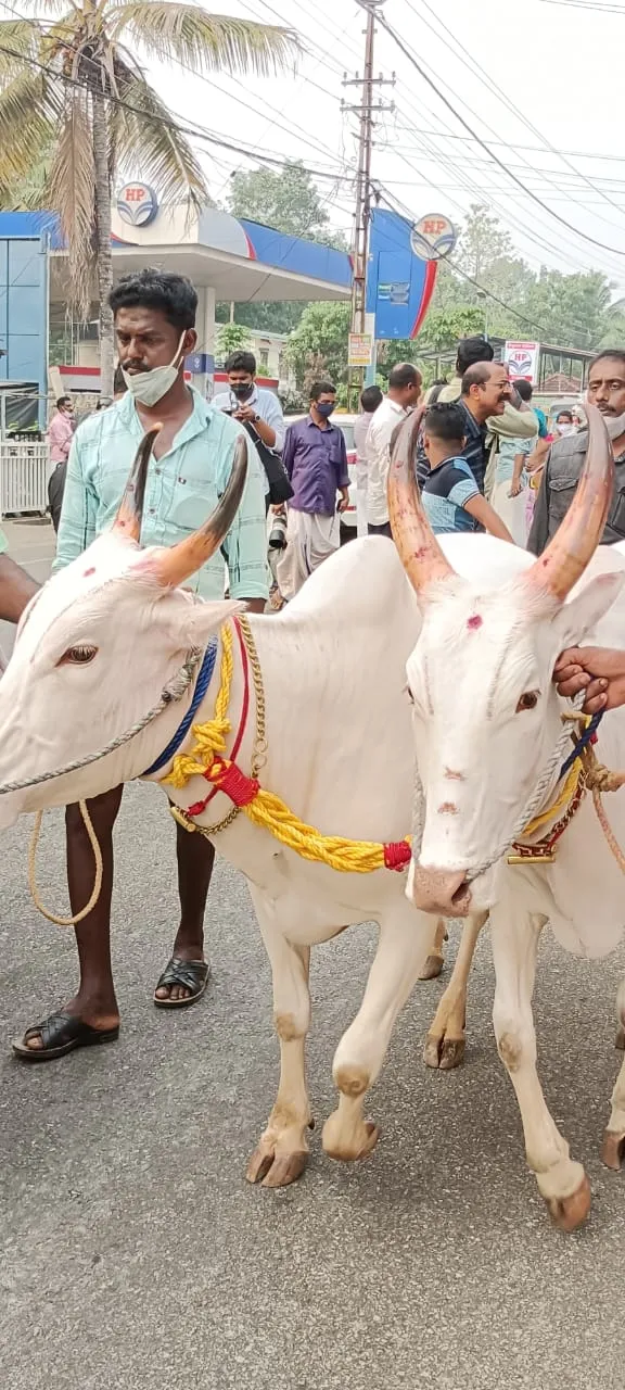 വയല്‍വാണിഭം