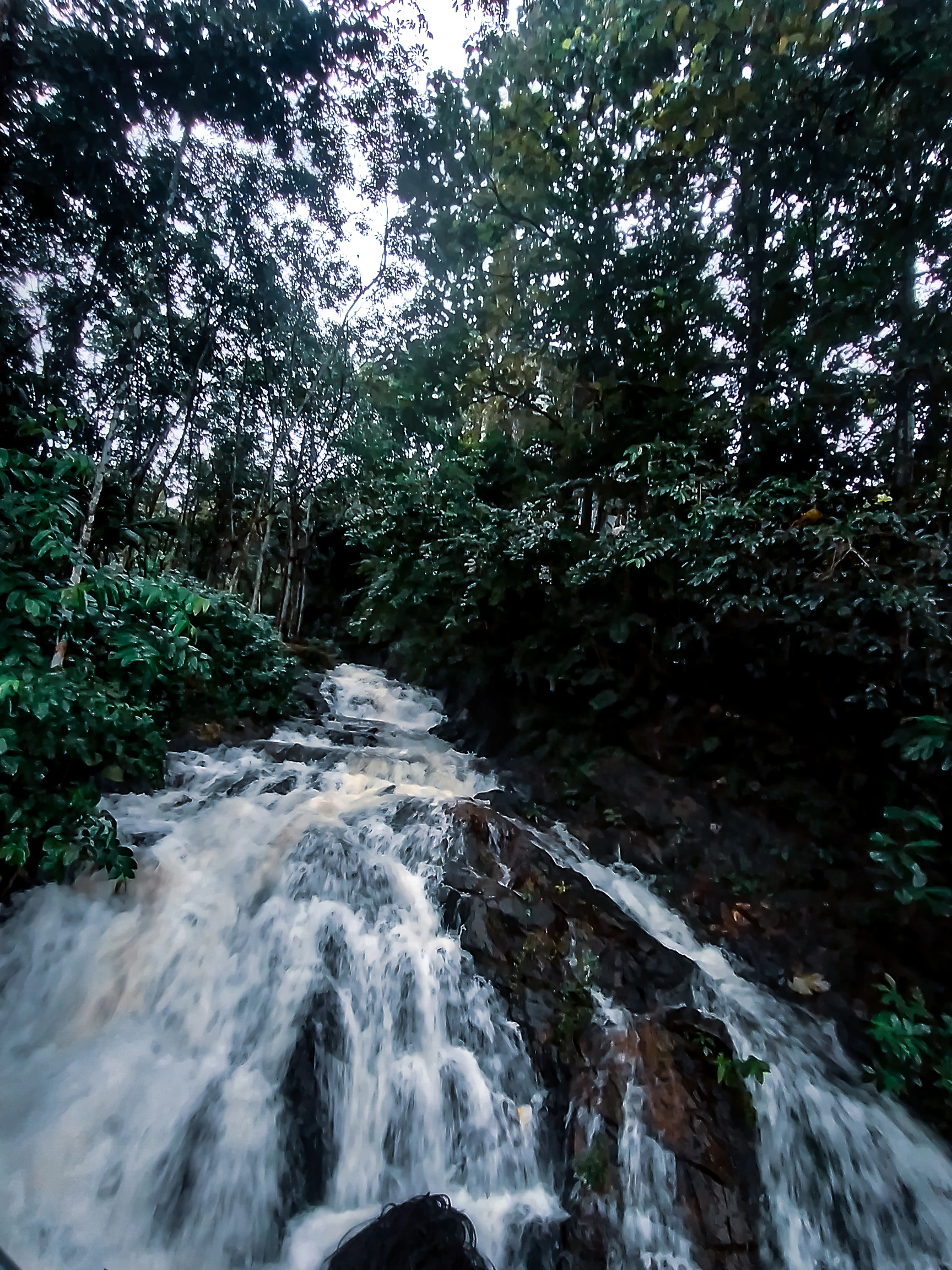 കുടിലുകുഴി