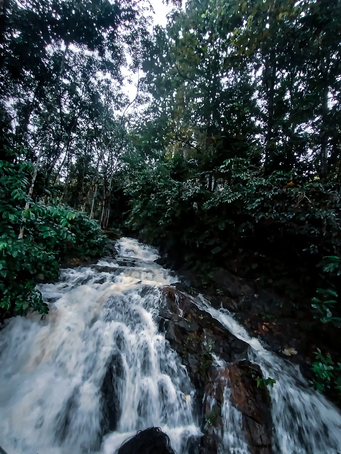 കുടിലുകുഴി