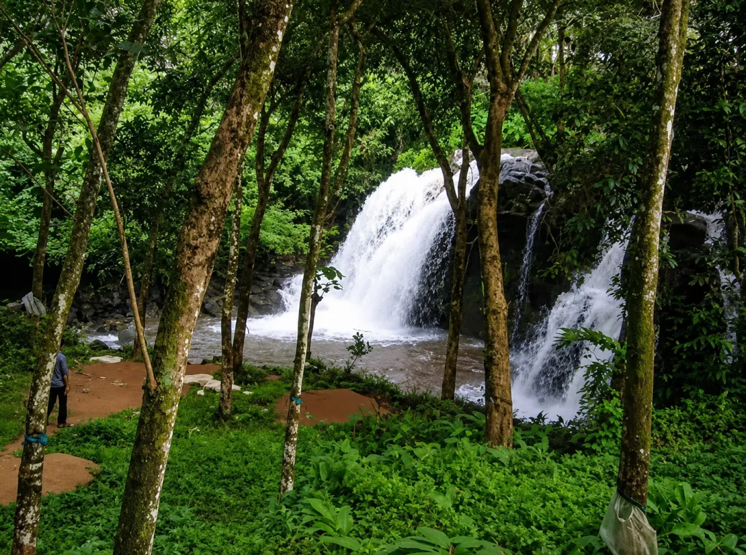 പുതുശ്ശേരിമല 
