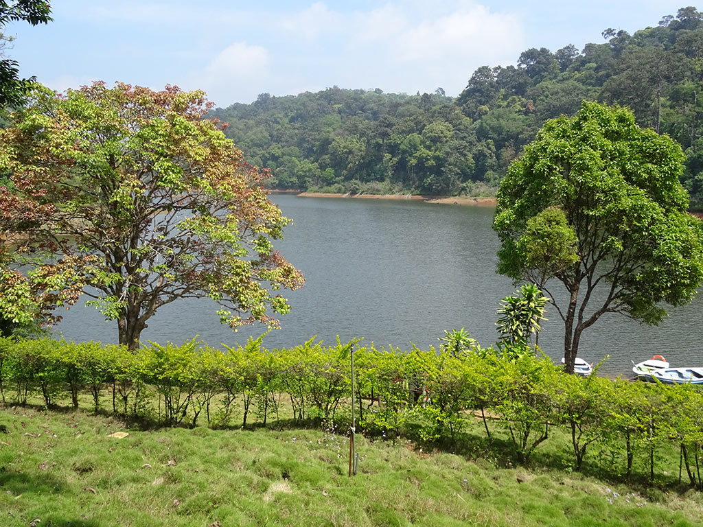 ഗവി