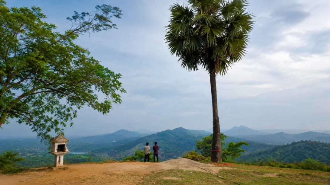പനംപാറ വ്യൂ പോയിന്‍റ്