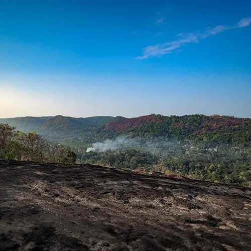 Kottapara Hills – നെടുംപാറയുടെ മഞ്ഞുമൂടിയ കിരീടം