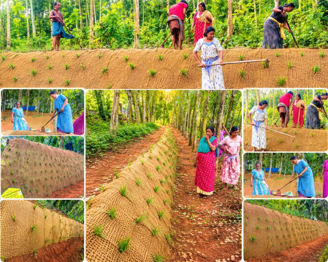 തൊഴിലുറപ്പ് പദ്ധതി