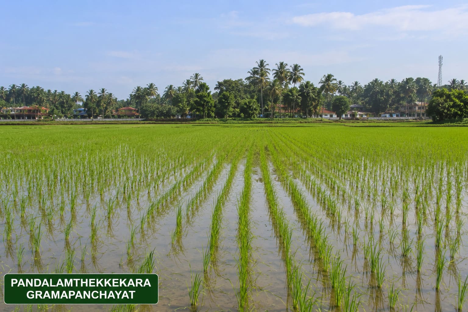 കാര്‍ഷിക ഗ്രാമം