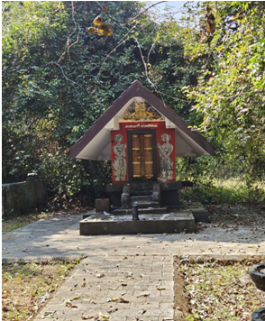 kavu