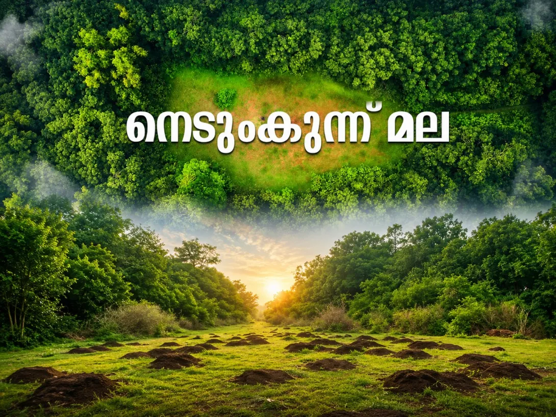 നെടുംകുന്ന് മല