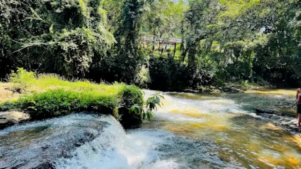 അടയപ്പാട് വെള്ളച്ചാട്ടം