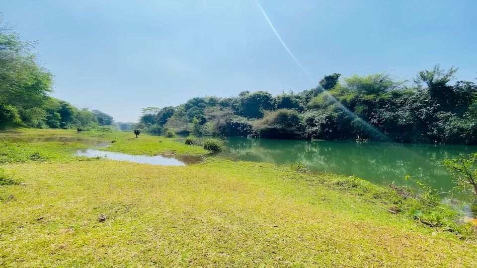 കല്ലട നദി