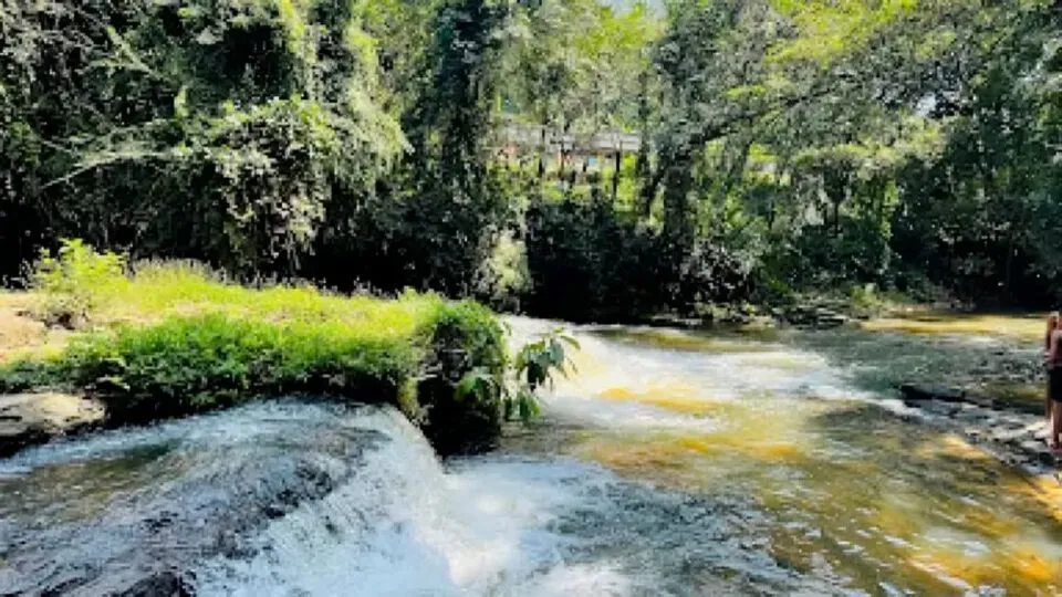 അടയപ്പാട് വെള്ളച്ചാട്ടം