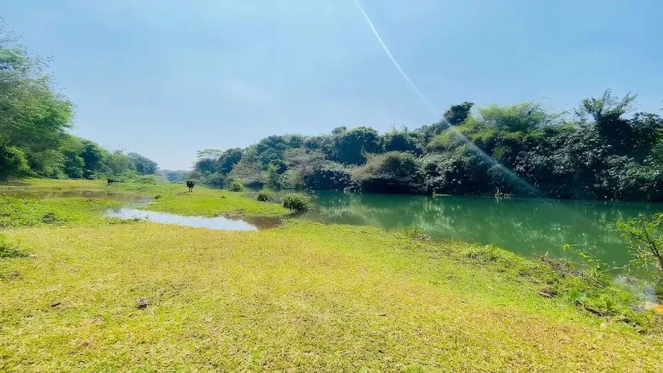 കല്ലട നദി