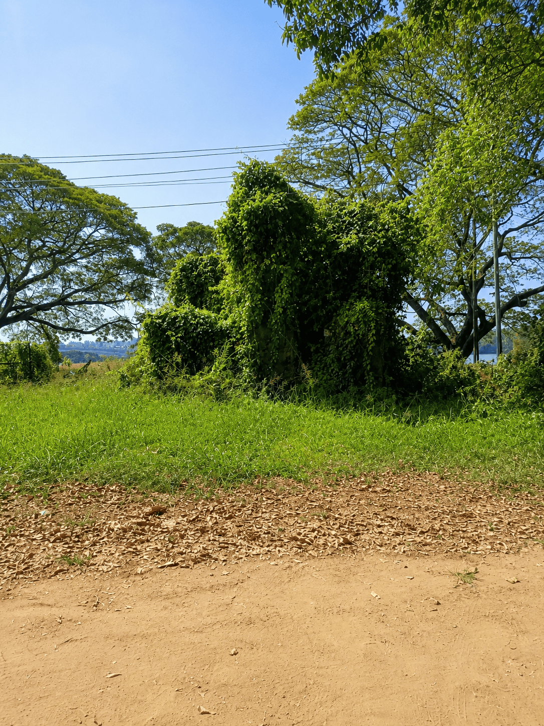അരൂക്കുറ്റി ചൌക്ക