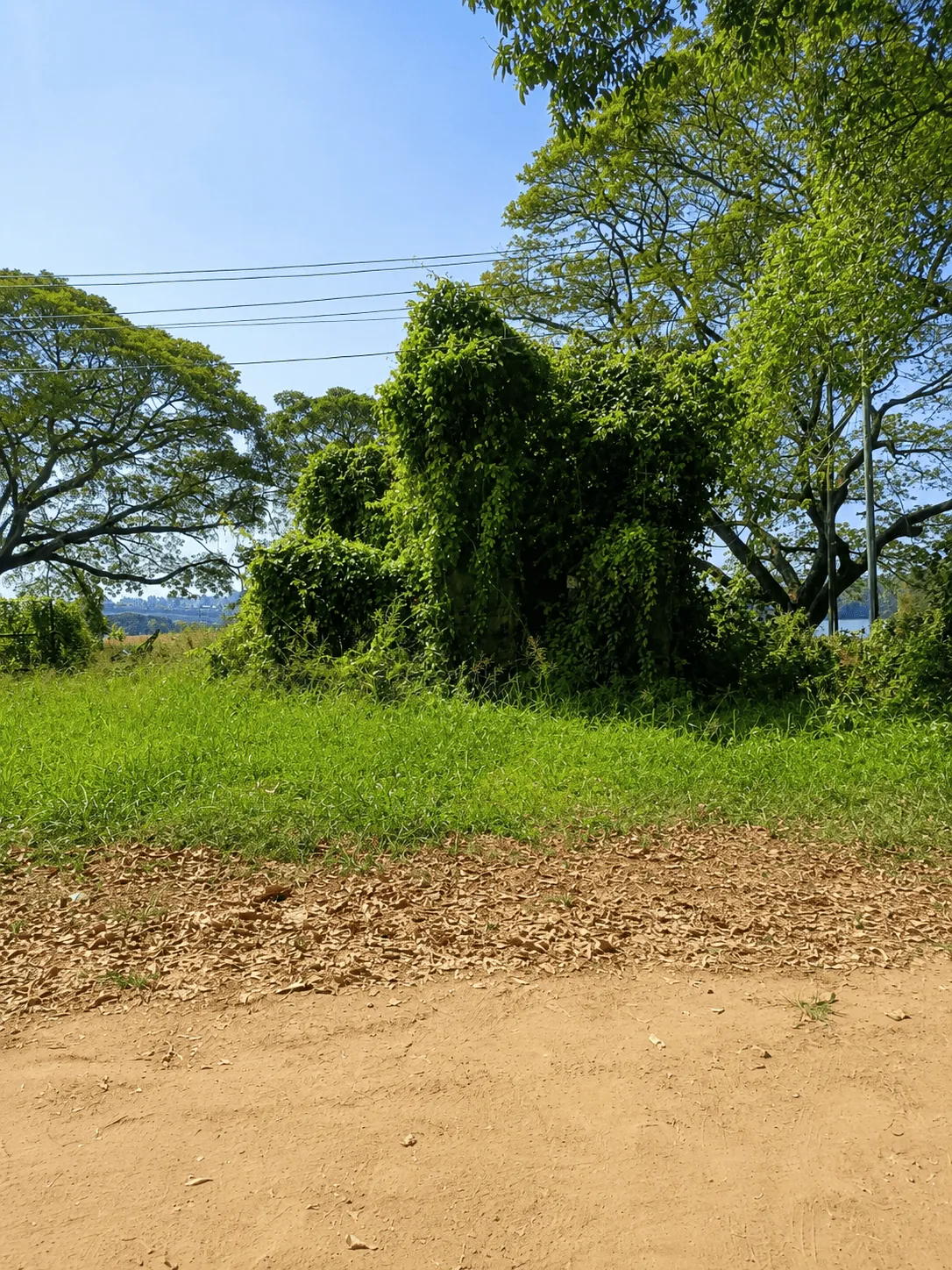 അരൂക്കുറ്റി ചൌക്ക