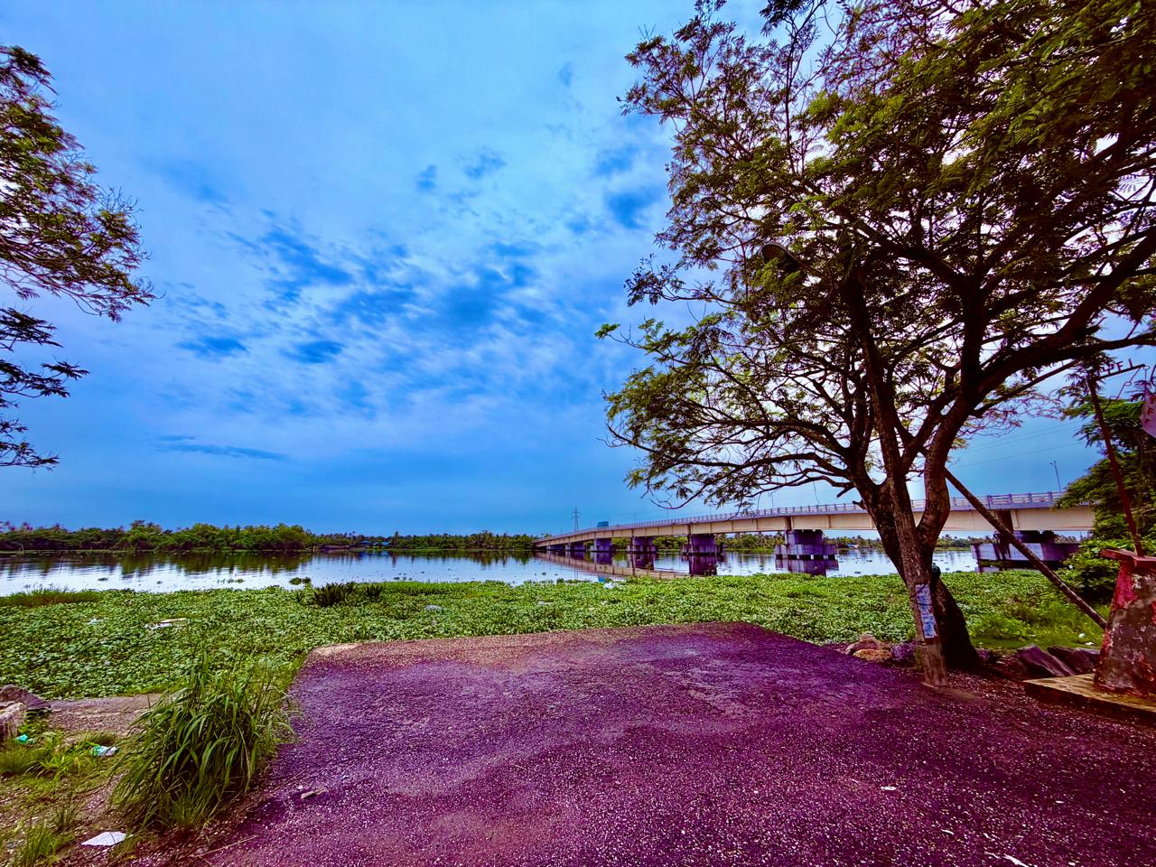 തൈക്കാട്ടുശ്ശേരി
