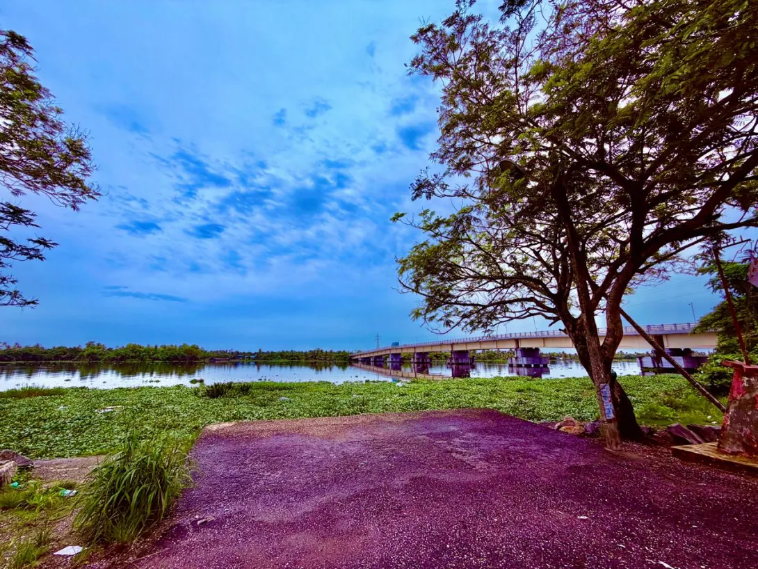 ഗാലറി