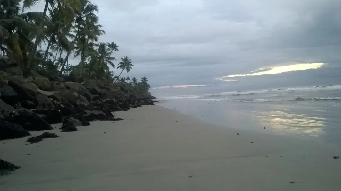 പള്ളിത്തോട് ബീച്ച്