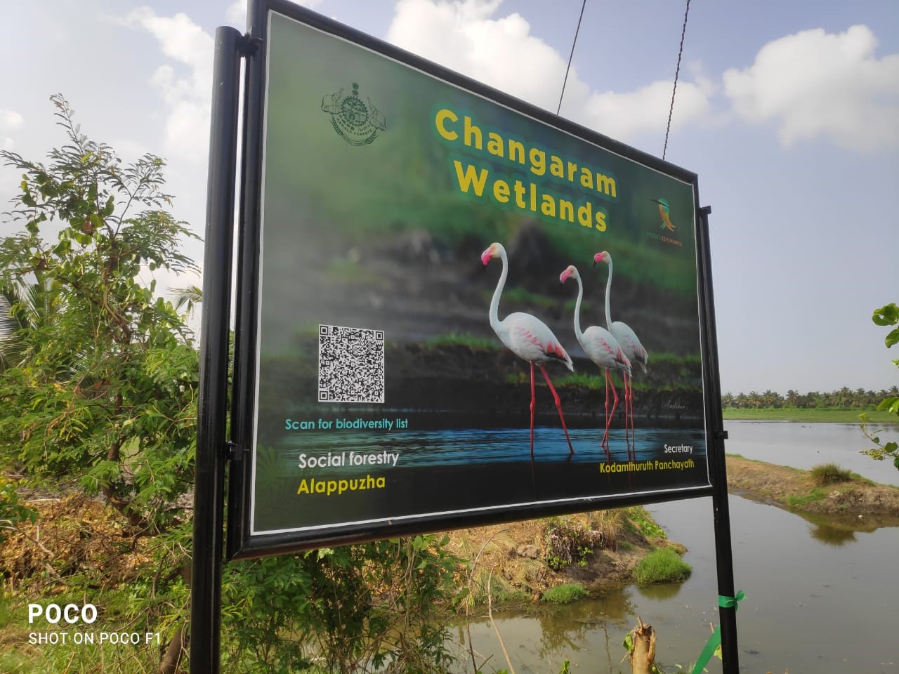 ചങ്ങരം പക്ഷികളുടെ പറുദീസ