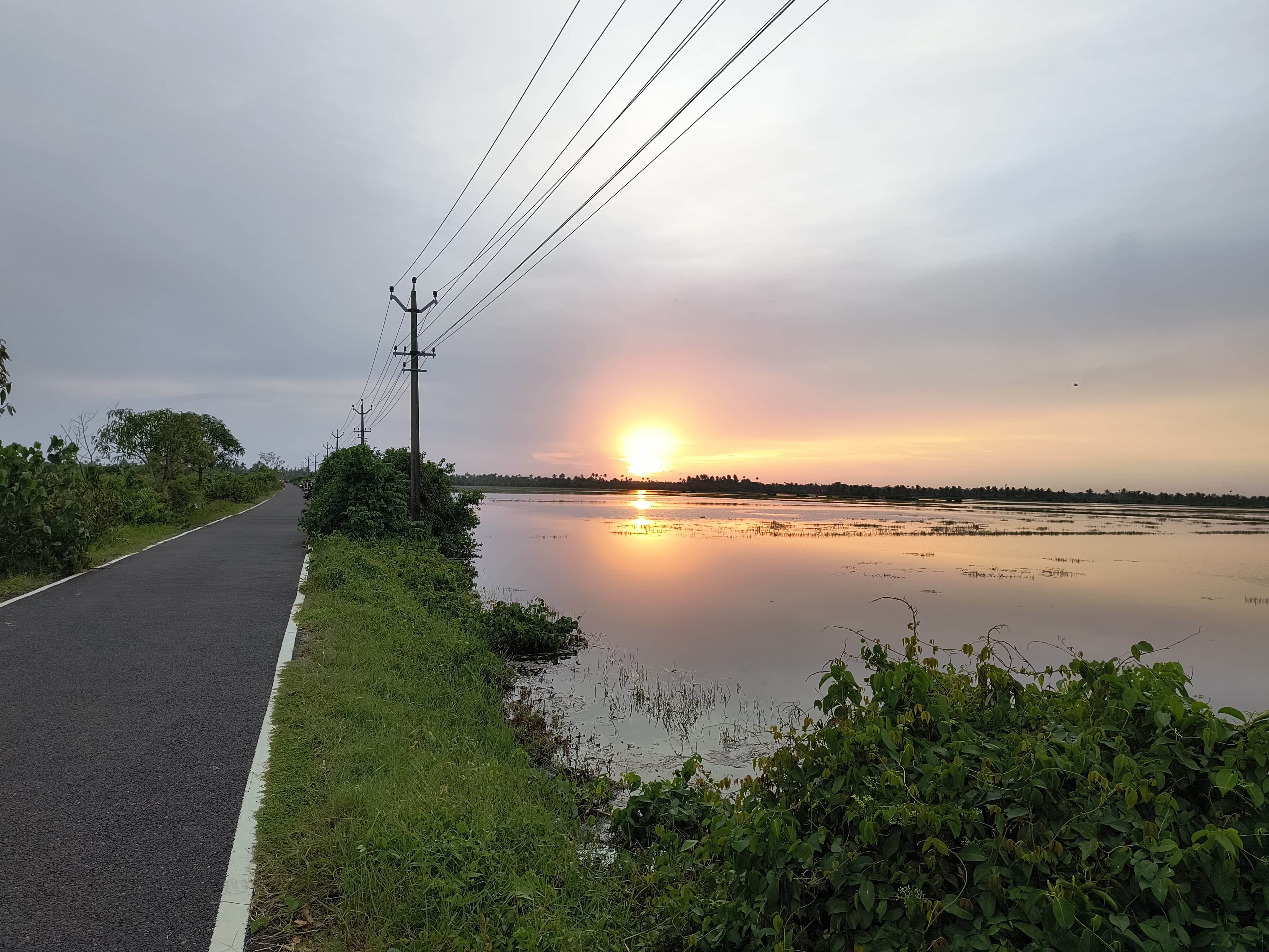 ചങ്ങരം വെറ്റ്ലാൻഡ് റോഡ്