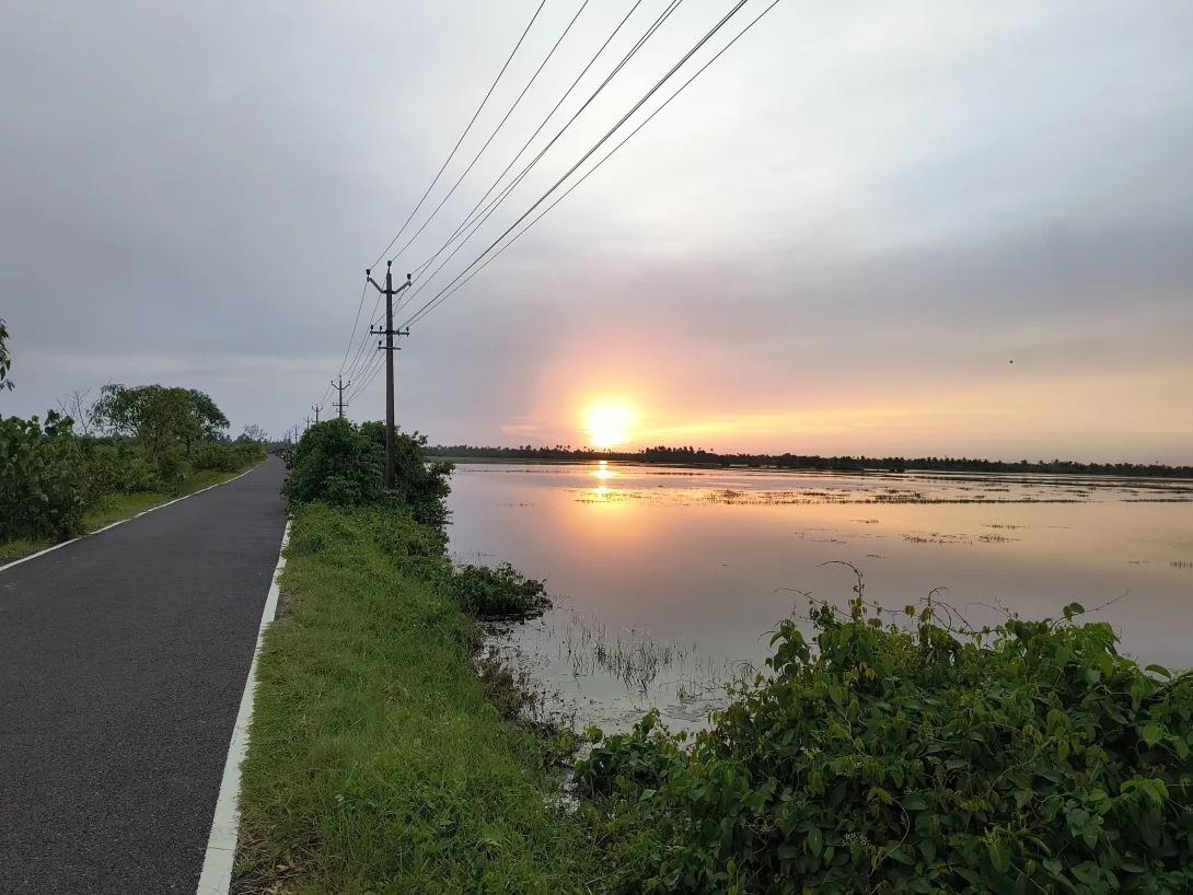 ചങ്ങരം വെറ്റ്ലാൻഡ് റോഡ്