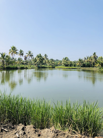 കാക്കത്തുരുത്ത് ദ്വീപ്
