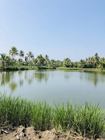 കാക്കത്തുരുത്ത് ദ്വീപ്