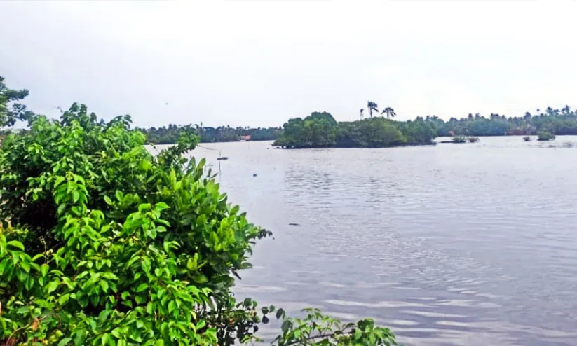 വെളുത്തുള്ളി കായല്‍